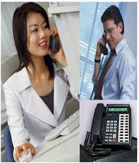 Low Cost Business Calls
